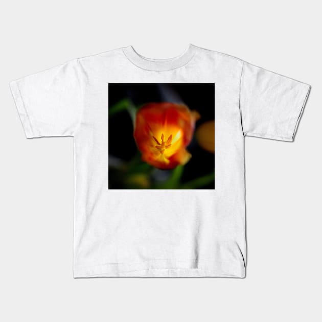 Red Tulip Close Up Kids T-Shirt by DesignMore21